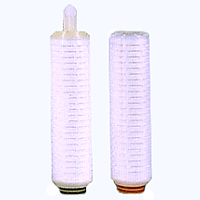 Pleated Filter